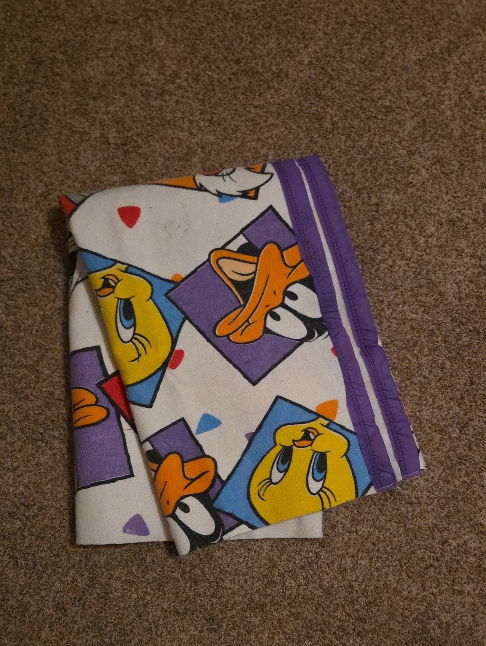Looney Tunes Blanket with Purple Trim Featuring Tweety, Daffy, And Sylvester